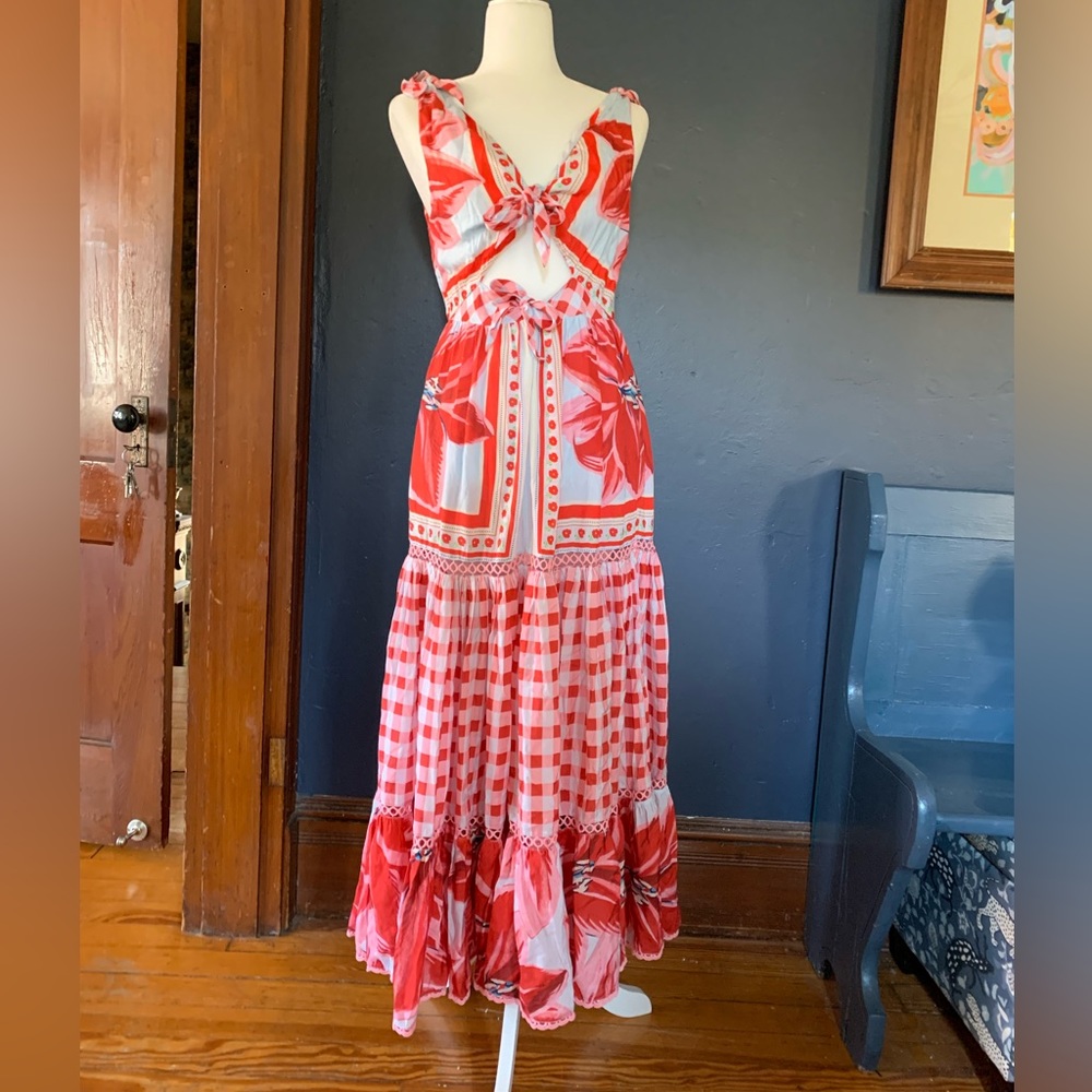 Farm Rio size medium azalea dress red and blue